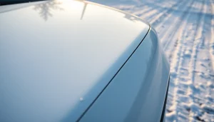 Showcasing PPF winter road salt protection on a vehicle in a snowy environment.